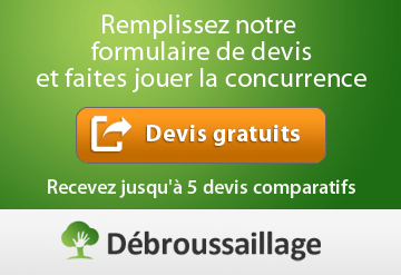 Devis débroussaillement